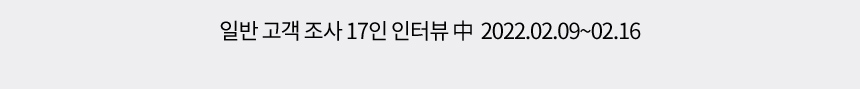 일반 고객 조사 17인 인터뷰 中 2022.02.09~02.16