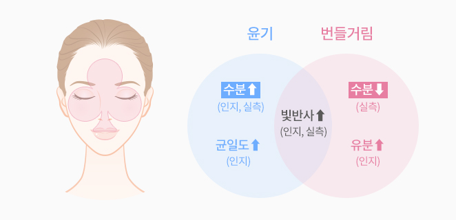 윤기는 수분(인지, 실측)과 균일도(인지)가 증가함. 번들거림은 수분이 감소하고 유분이 많아짐. 윤기와 번들거림의 교집합은 빛반사가 증가(인지, 실측)하는 것