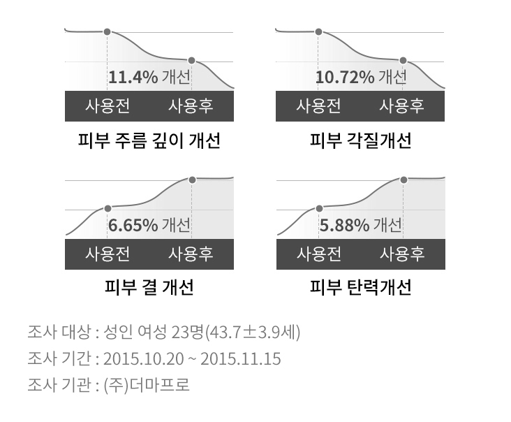 시그니아 앰플 설명 웹