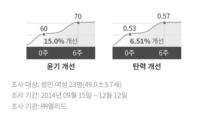 시그니아 세럼 설명 웹